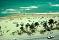 Live Fort Lauderdale WebCams 